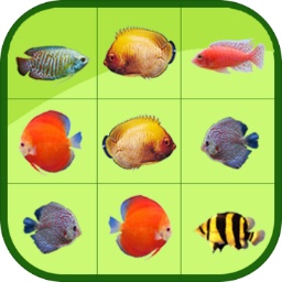 W66利来登录平台