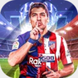 IM体育注册登录